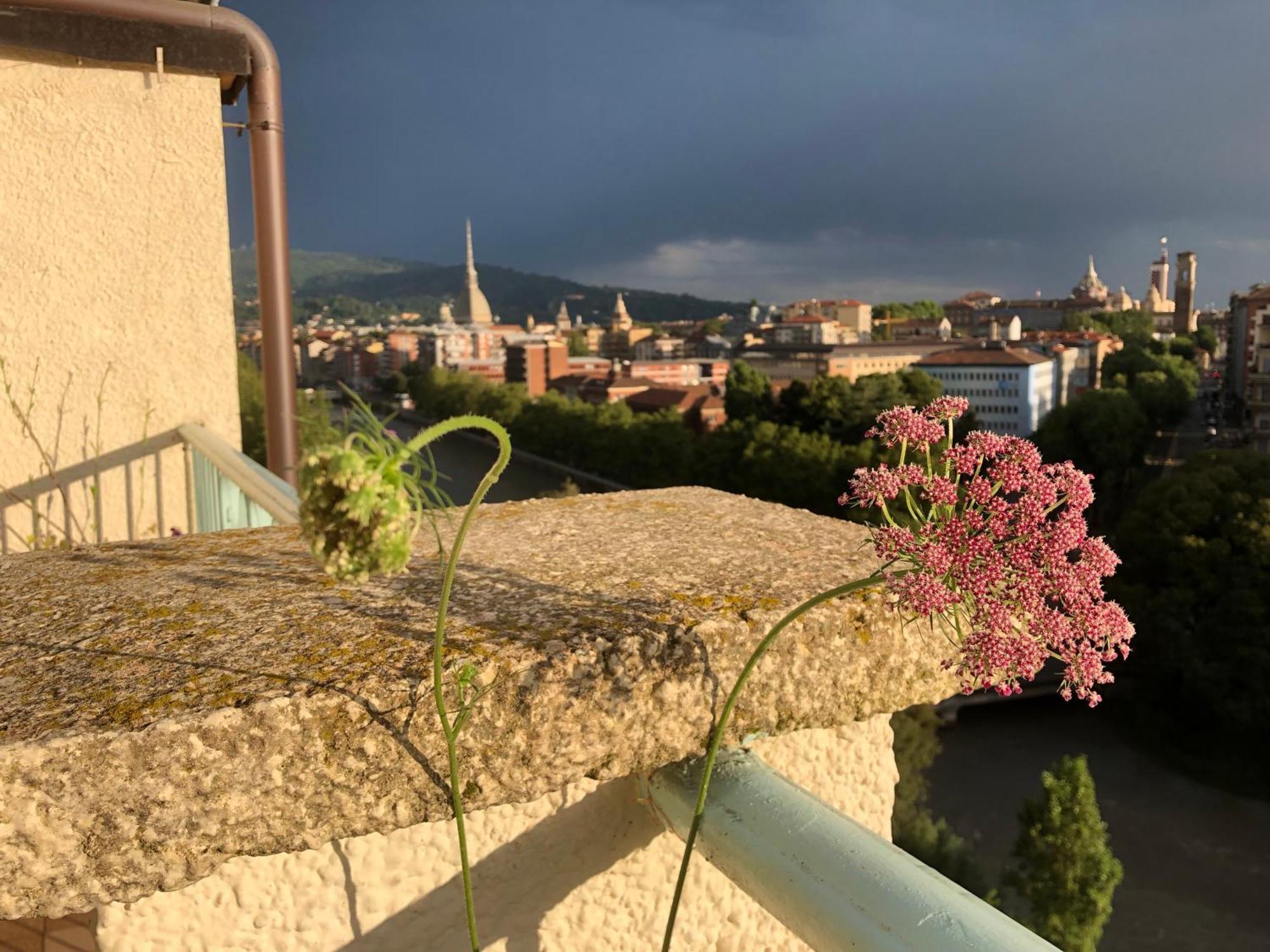 Attico Ellen Terrazza Con Vista Apartment Torino Exterior foto